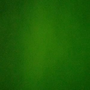 Meet your Posher, Shalla